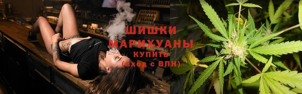 ECSTASY Липки