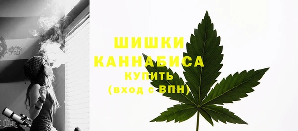 ECSTASY Липки