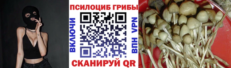 blacksprut сайт  дарнет шоп  Талица  Галлюциногенные грибы Psilocybine cubensis 